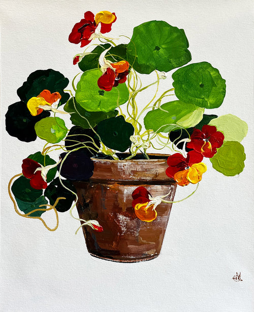Painting of Nasturtiums in Terracotta Pot Painted in Acrylic on Cotton Canvas roslynmary art.