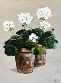 Painting of White Geraniums in Two Terracotta Pots Painted in Acrylic on Cotton Canvas roslynmary art.