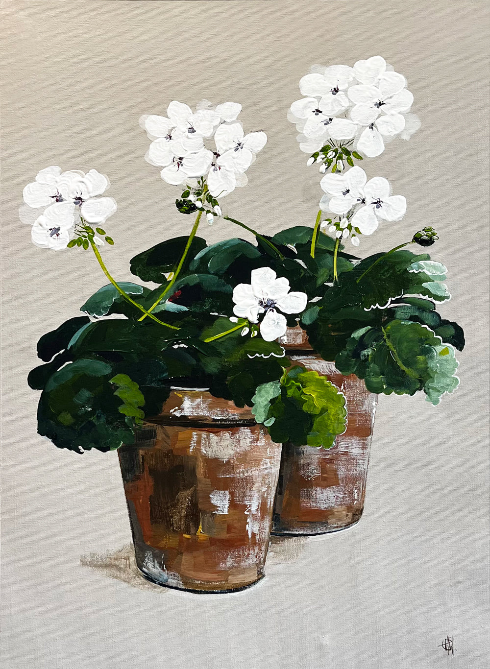 Painting of White Geraniums in Two Terracotta Pots Painted in Acrylic on Cotton Canvas roslynmary art.