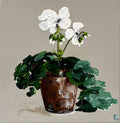 Painting of White Geranium in Terracotta Pot Painted in Acrylic on Stretched Canvas roslynmary art.