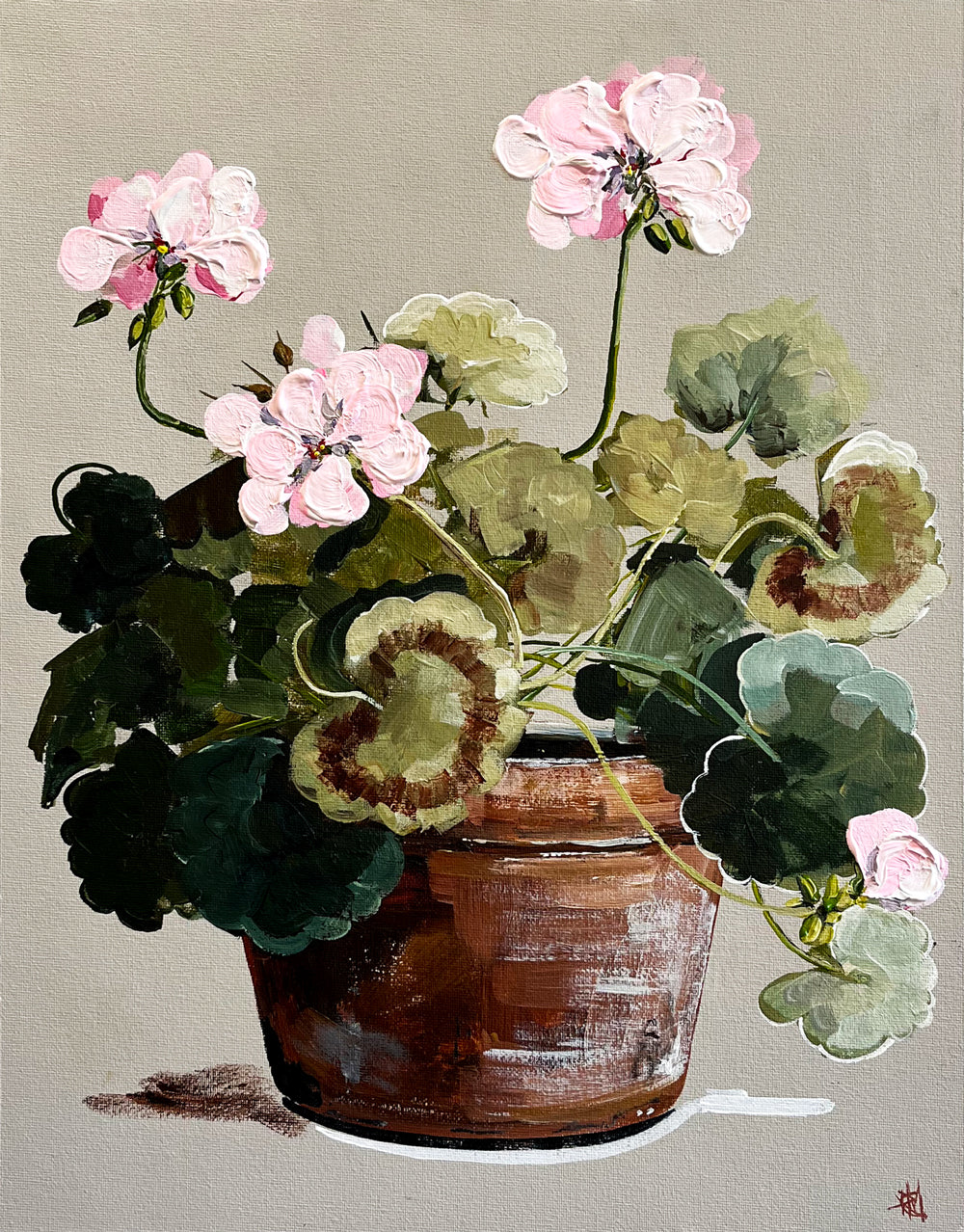 Painting of Pink Geraniums in Terracotta Pot Painted in Acrylic on Cotton Canvas roslynmary art.