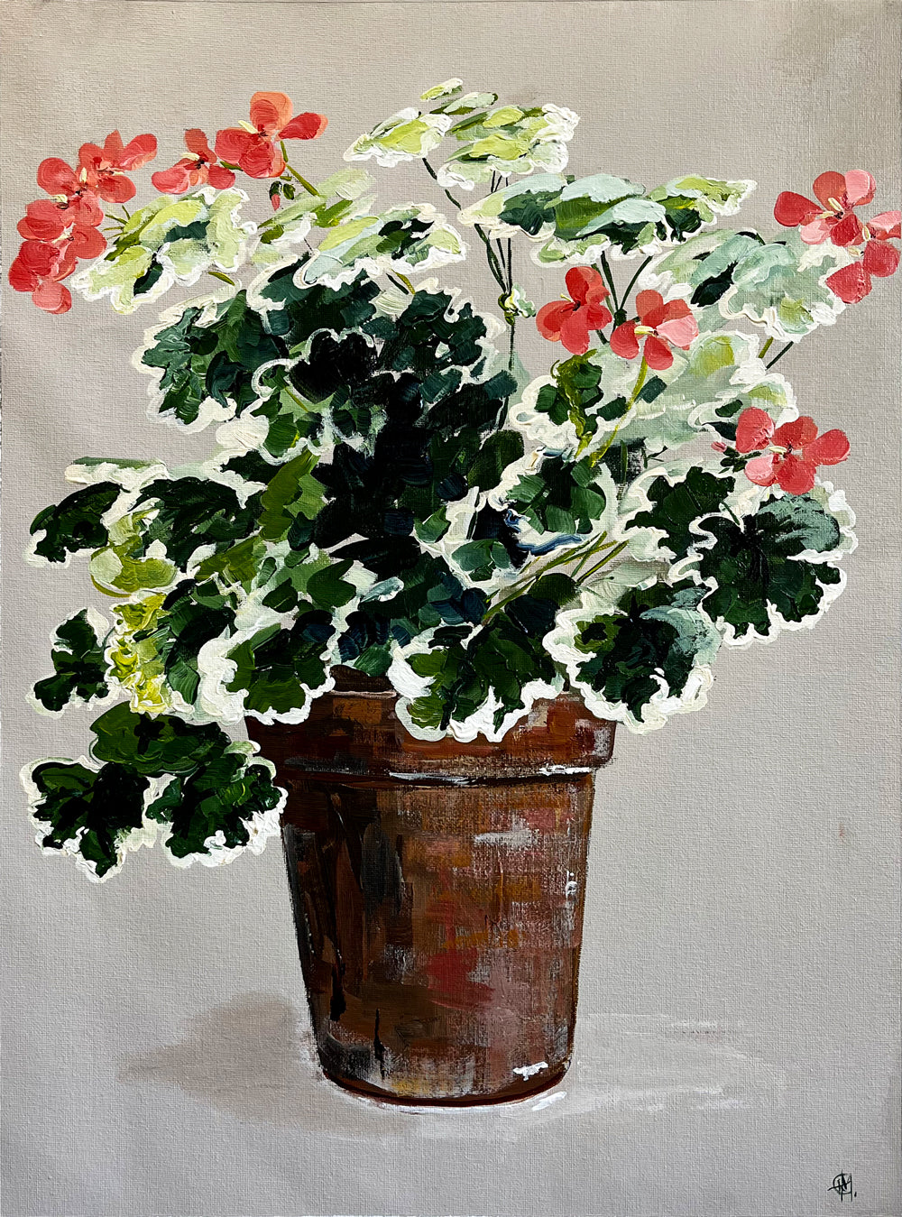 Painting of Red Geraniums in Terracotta Pot Painted in Acrylic on Cotton Canvas roslynmary art.