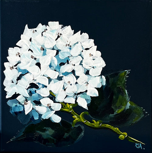 Painting of White Hydrangea on Navy Background Painted in Acrylic on Stretched Canvas roslynmary art.