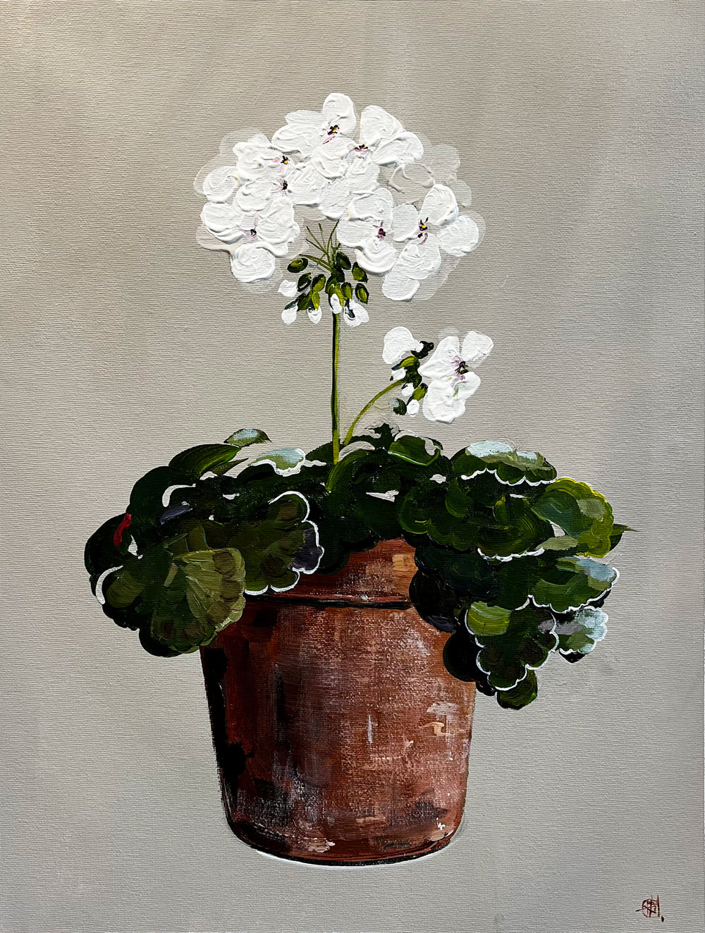 Painting of White Geranium in Terracotta Pot Painted in Acrylic on Cotton Canvas roslynmary art.