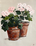 Painting of Pink Geraniums in Two Terracotta Pots Painted in Acrylic on Cotton Canvas roslynmary art.
