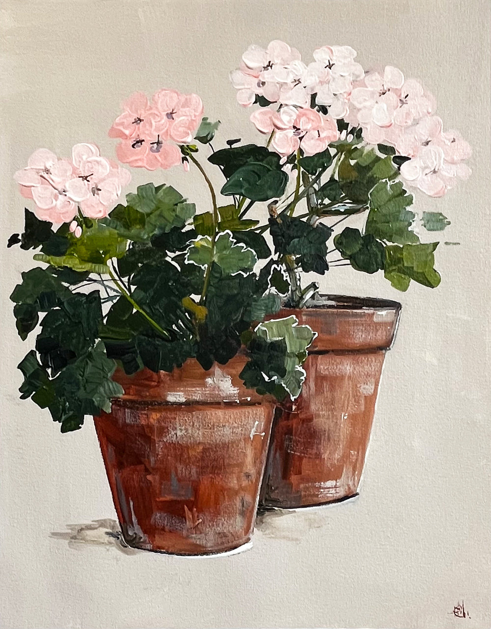 Painting of Pink Geraniums in Two Terracotta Pots Painted in Acrylic on Cotton Canvas roslynmary art.