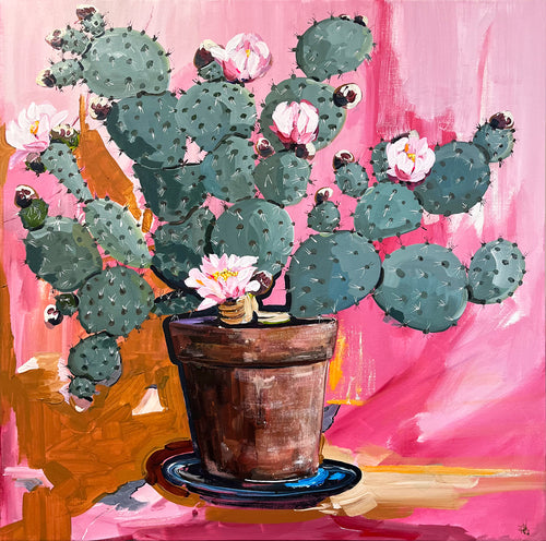 Painting of Flowing Cactus in Terracotta Pot on Colourful Pink Background Painted in Acrylic on Stretched Canvas roslynmary art.