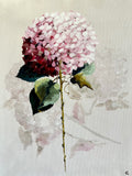 Painting of Pink Hydrangea Painted in Acrylic on Cotton Canvas roslynmary art.