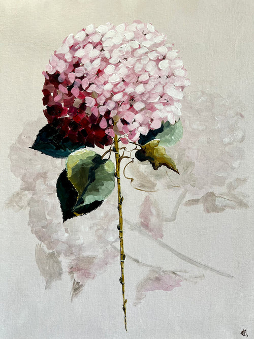 Painting of Pink Hydrangea Painted in Acrylic on Cotton Canvas roslynmary art.