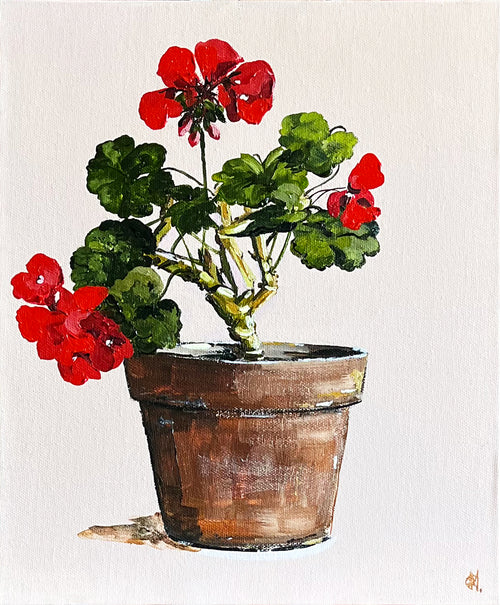 Painting of Red Geraniums in Terracotta Pot Painted in Acrylic on Canvas Board roslynmary art.