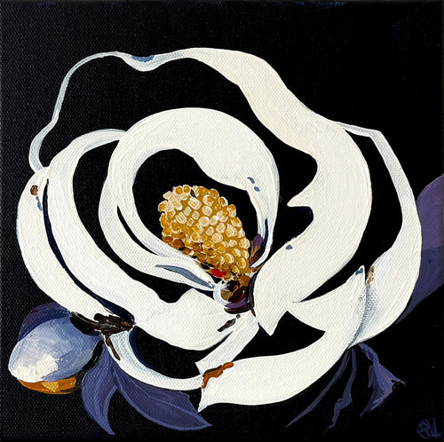 Painting of White Magnolia on Dark Background Painted in Acrylic on Stretched Canvas roslynmary art.